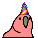 Birthday Party Parrot
