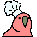 Chef parrot