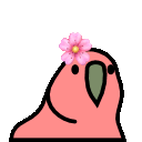 Flower Parrot