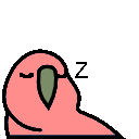 Sleepy Parrot