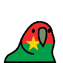 Burkina Faso Parrot