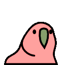 HDR Parrot