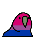 Bi Parrot
