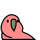 Bored Parrot