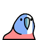 Braveheart Parrot