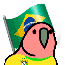 Brazilian Fan Parrot