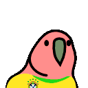 Brazilian Player Parrot