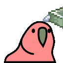 Flying Money Parrot