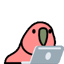 Laptop Parrot