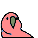 Levitation Parrot