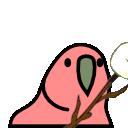 Marshmallow Parrot
