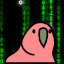 Matrix Parrot