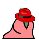 Red Hat Parrot