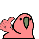Thumbs Up Parrot