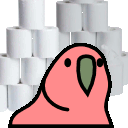 TP Parrot